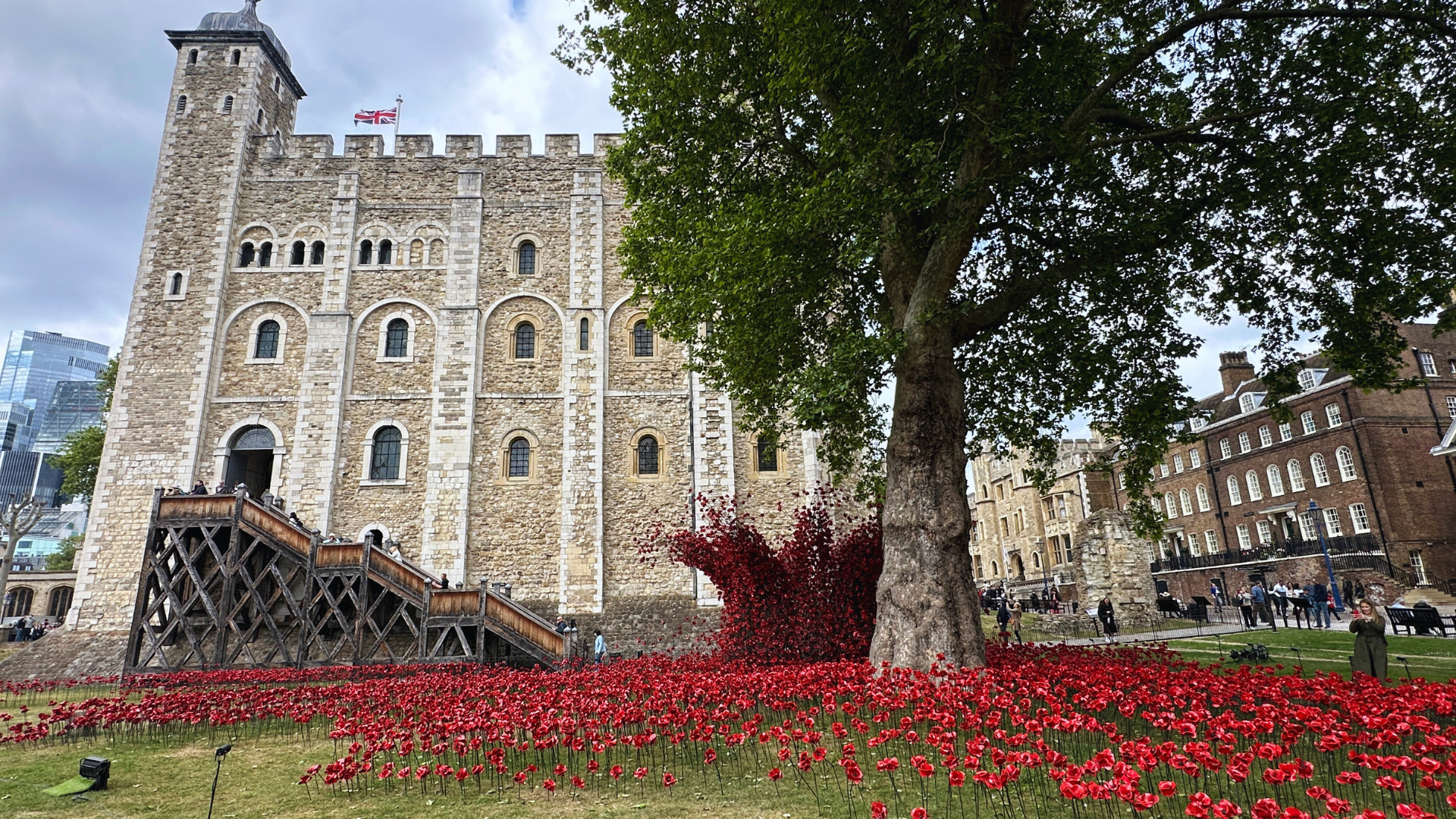 Tower of London poppies return in 2025