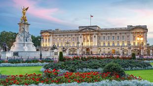 Rote Blumen wachsen vor dem Buckingham Palace, der beleuchtet ist und sich vor einem blau-rosa Himmel befindet.