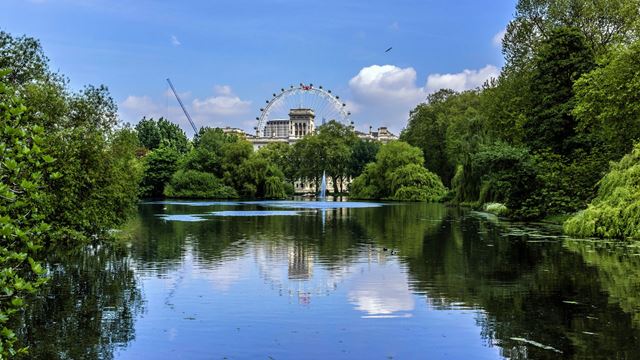 Lake at St. James's Park with London Eye in background.