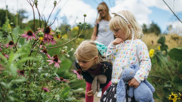 Jardins botaniques et Arboretum d'Oxford. Image fournie par les Jardins botaniques et Arboretum d'Oxford/Ian Wallman Deux enfants vêtus de vêtements aux couleurs vives sentent des fleurs par une journée ensoleillée dans les jardins botaniques et l'arboretum d'Oxford.