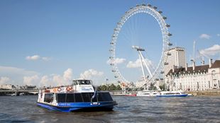 Un bâteau de croisière de la compagnie City Cruises navigue le long de la Tamise et passe à côté du London Eye.