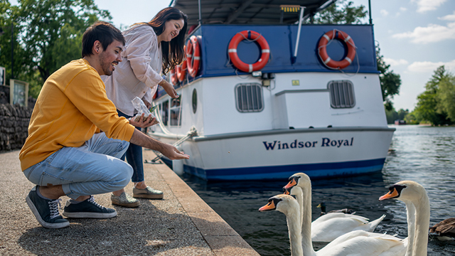 Entdecken Sie wilde Tiere, während Sie an Bord der French Brother Sightseeing Cruise durch Windsor und dessen Flusslandschaft fahren. © visitlondon.com/Michael Barrow Ein Mann und eine Frau füttern Schwäne, die zum Flussufer schwärmen, an dem ein Aussichtsboot angedockt ist.