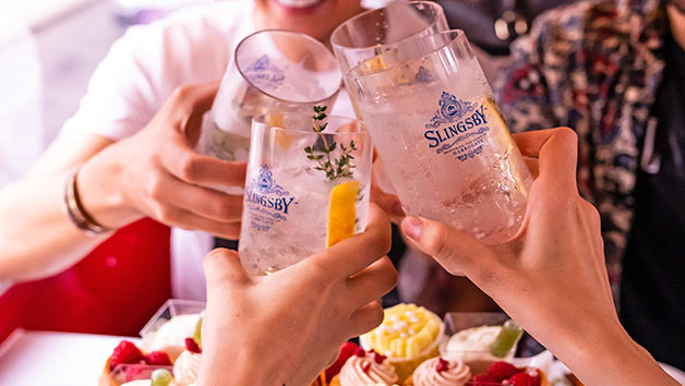 People cheers glasses of gin together.