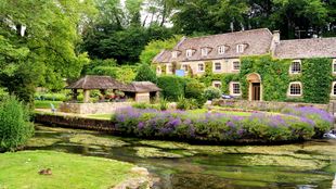 A big cottage with a green living wall surrounded by water and lavender in the Cotswolds.