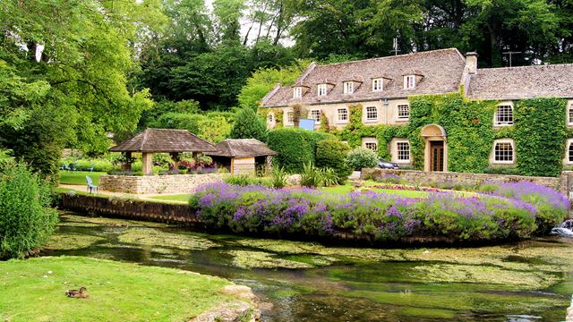 A big cottage with a green living wall surrounded by water and lavender in the Cotswolds.