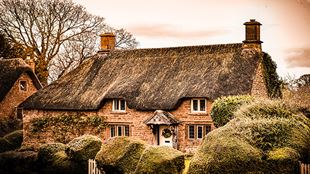 Vue sur un cottage traditionnel dans les Cotswolds, construit avec des pierres jaunes et un toit de chaume.