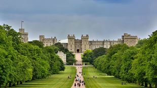 People on a walking path lined with green trees on either side in the direction of Windsor Castle.