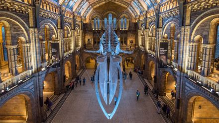 Explore the history of planet Earth at the Natural History Museum. Credit: Shutterstock. Image courtesy of Shutterstock.