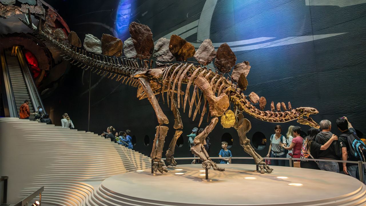 Natural History Museum London Guided Tour natural-history-museum-london-guided-tour