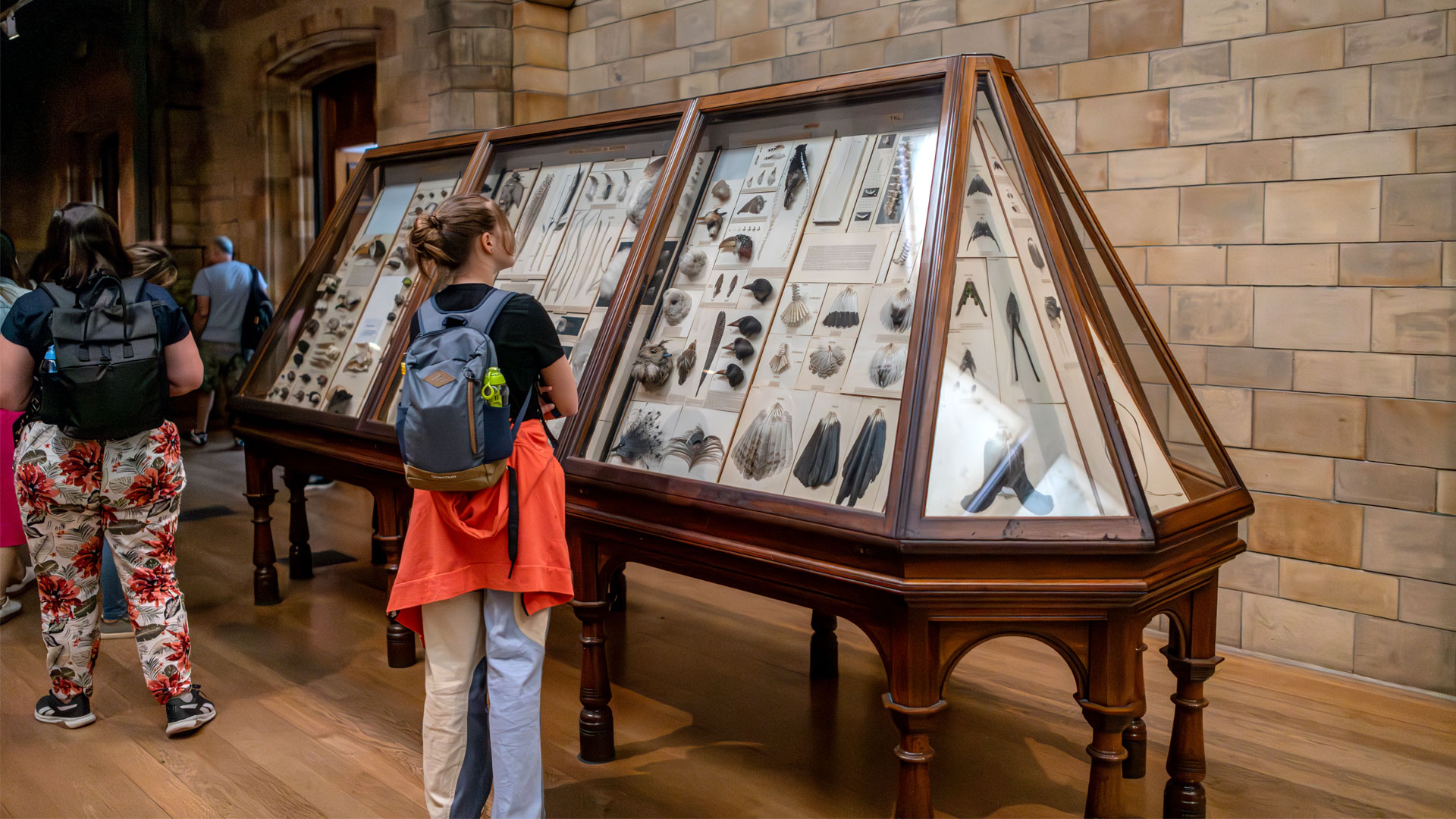 Admire specimens spanning hundreds of millions of years at The Natural History Museum. Image credit: London & Partners/ Michael Barrow. Woman looking at artefacts in glass case at The Natural History Museum.