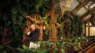 Tom Felton rejoue une scene du film où Drago tient une mandragore dans la nouvelle exposition sur les pousses de Mandragores du professeur Chourave  au Warner Bros. Studio Tour London. 