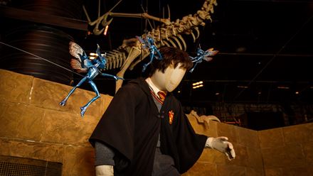 N'oubliez pas de récupérer votre passeport lors de votre arrivée aux Warner Bros. Studio Tour et découvrez où se cachent les malfaisants lutins de Cornouailles. TM & © Warner Bros. Entertainment Inc. Harry Potter Publishing Rights © JKR.