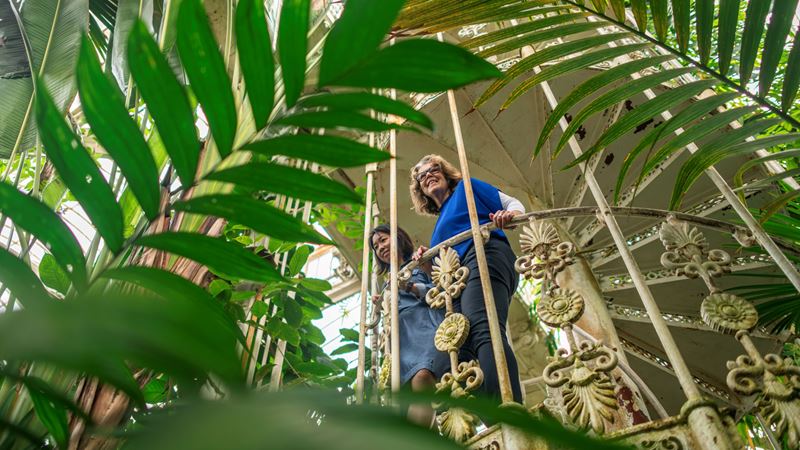 Wander around the Palm House at Kew Gardens after enjoying an alfresco picnic. Credit: London & Partners/Michael Barrow. Image courtesy of visitlondon.com. Two women walking up the staircase with plants in the foreground in Kew Gardens conservatory