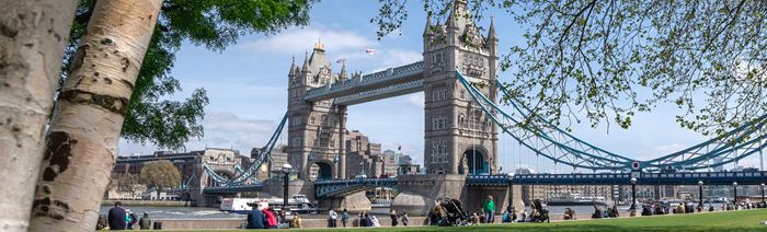 Image of Tower Bridge taken from afar with some trees in the foreground and the bridge in the background. 