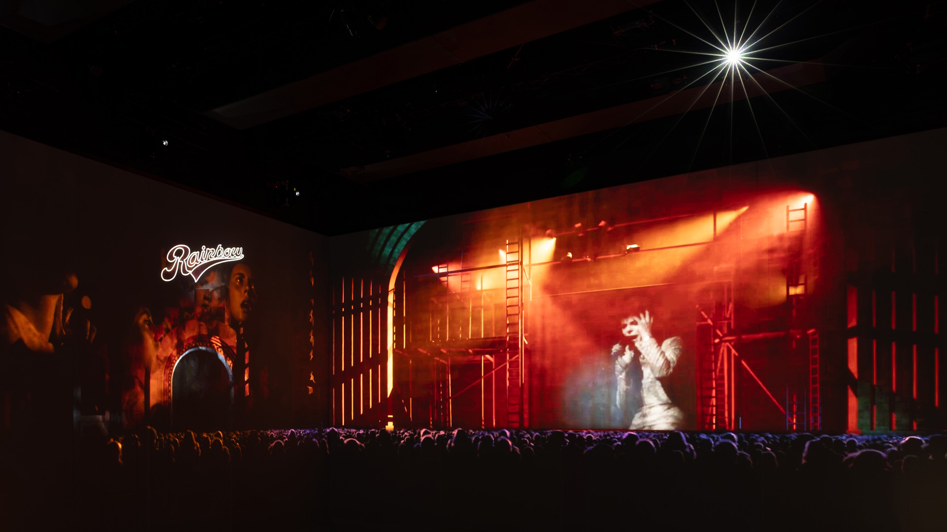 Lightroom's screens showing a performance from one of David Bowie's live shows, with a crowd of people in the foreground.