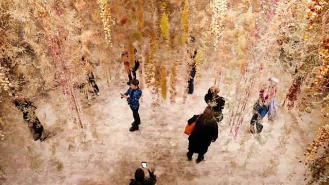 Dried flowers hanging from ceiling as part of art installation at Saatchi Gallery.