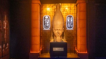 Book tickets for this must-see ancient Egypt exhibition in London and explore one of the world’s greatest civilisations. Credit: James Mason Photography. Image courtesy of NEON.