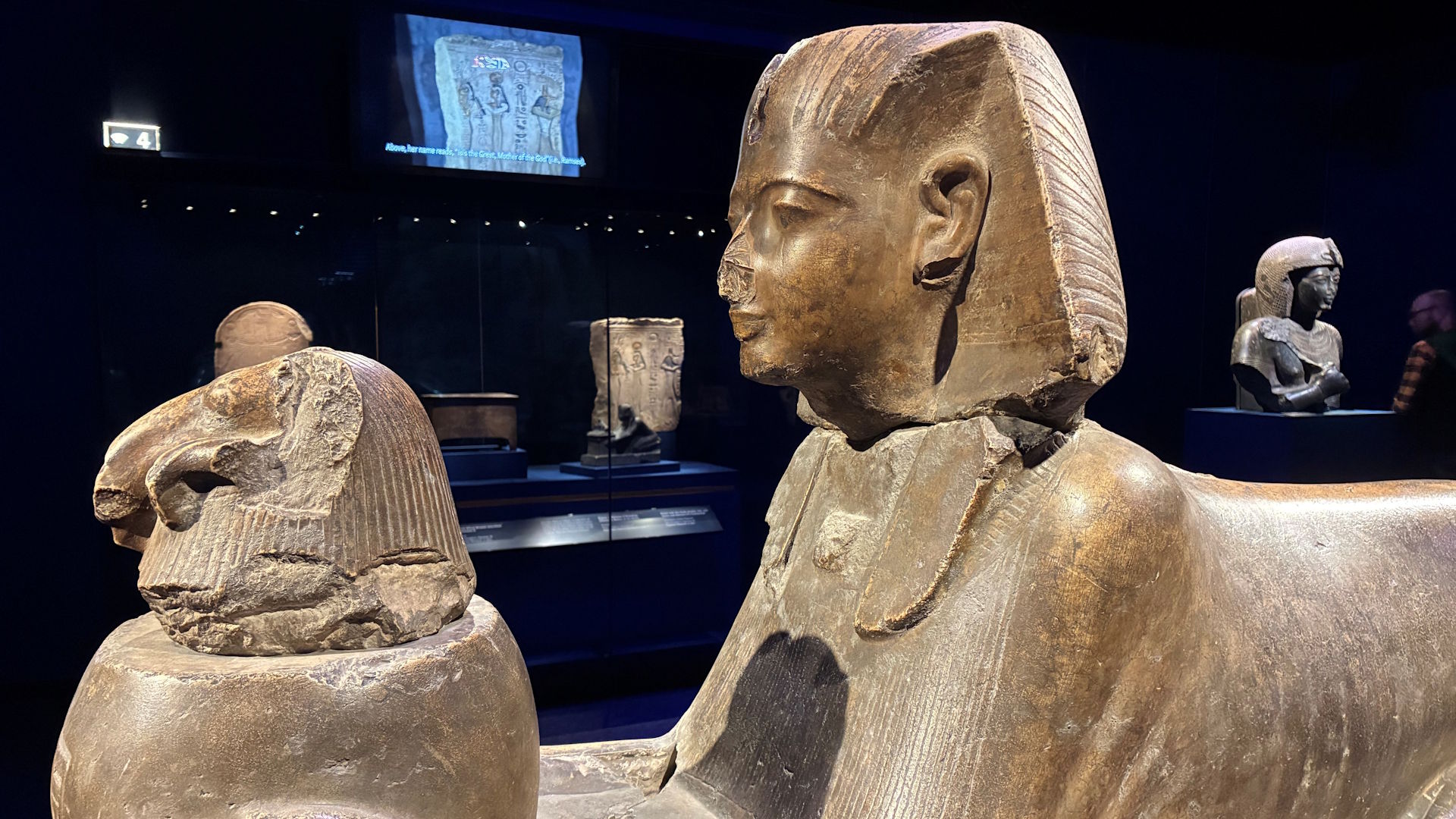 See various statues of Ramses II at Ramses and the Pharaohs' Gold exhibition, including one as a sphinx. © London & Partners / Jonny Payne. A statue of Ramses II as a sphinx holding another object.