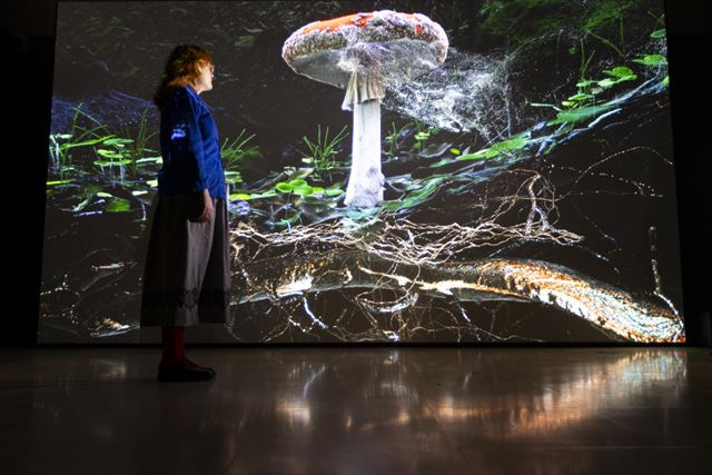 Person standing next to immersive screen showing nature and a large mushroom.