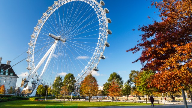 Une femme marche sur un sentier en passant devant des arbres couleur d'automne, sous un ciel dégagé et avec le London Eye en arrière-plan. 