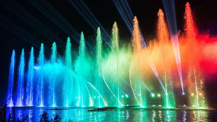 See glistening treetops and shimmering waterfalls as you explore the spectacular Illuminated Light Trail. Image courtesy of Golden Tours.