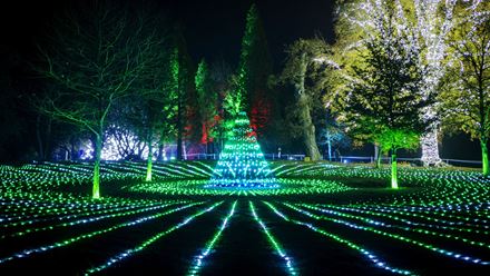 Out in the gardens, discover an enchanting trail illuminated by more than a million lights. Image courtesy of Golden Tours.