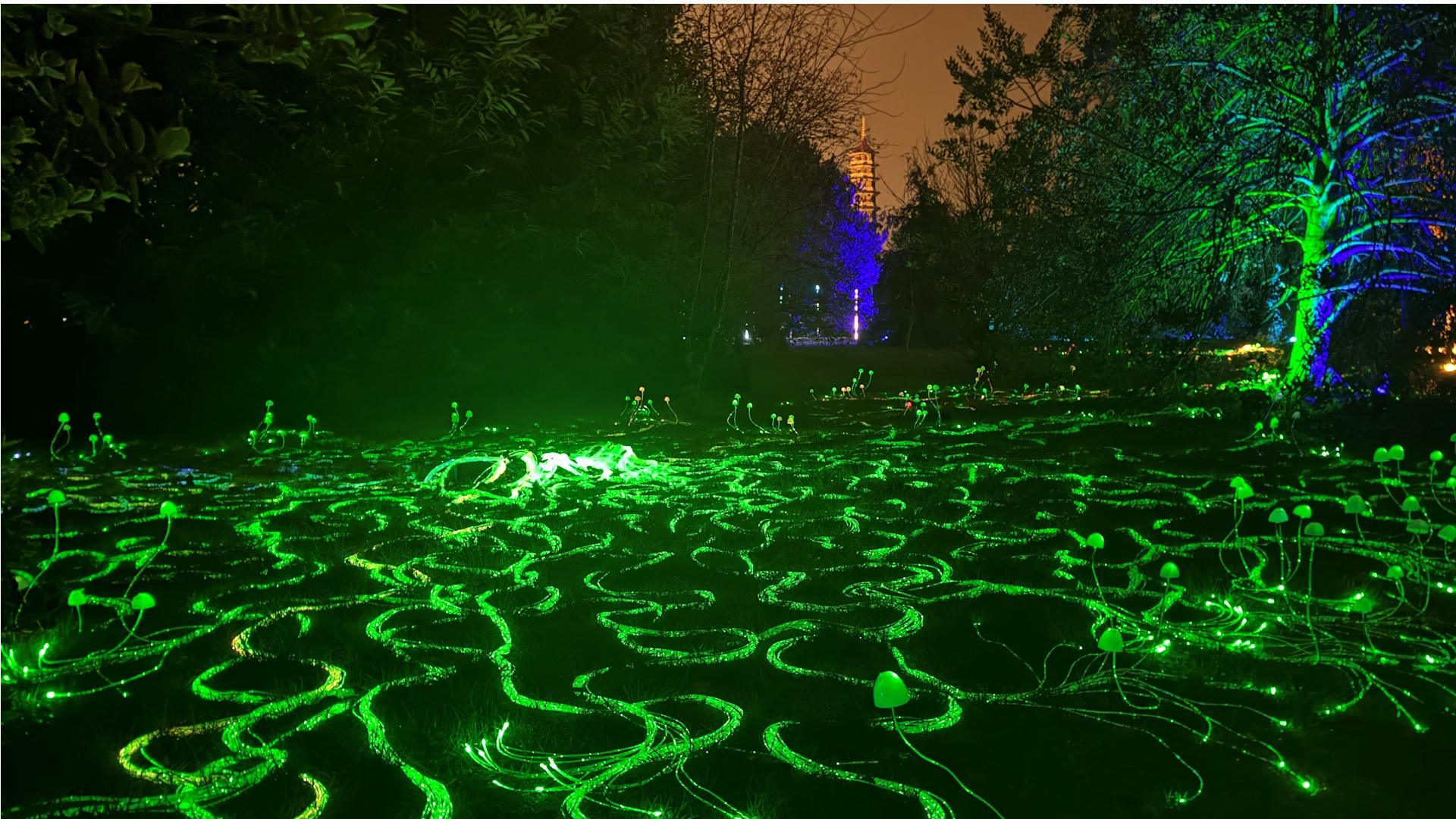 See the new Mycelium Network installation by Custom Fibre Optics, as part of Christmas at Kew 2025. Photo credit: Jonny Payne © London & Partners. Bright green illuminated strands of optic fibre lay across the ground with mushroom shapes and the Giant Pagoda is illuminated in the background at Christmas at Kew.