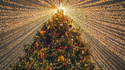 Celebrate the festive season with joy and cheer at Christmas in Chelsea. Image courtesy of Golden Tours.