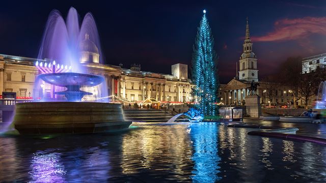 A water fountain with reflected purple lights illuminates Trafalgar Square. In the background is the famous Christmas tree with its blue neon decorations.