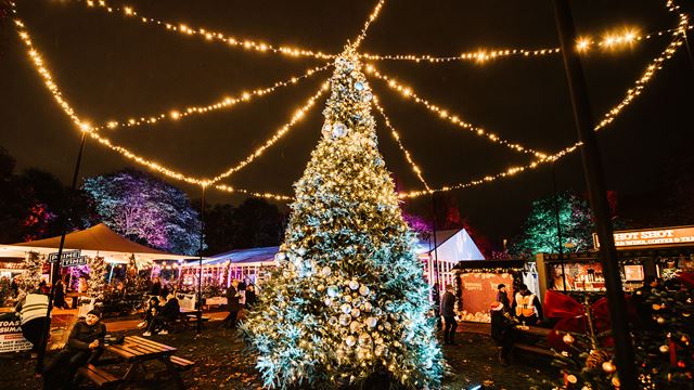 A Christmas tree illuminated by vibrant neon lights, creating a colourful and glowing display against the dark sky.