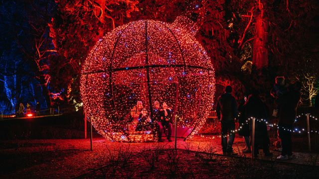 Visitors gathered around a large spherical Christmas decoration made of red twinkling lights, set in a dark outdoor area with trees illuminated in red and blue.
