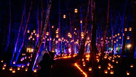 Follow enchanting pathways lined with hundreds of glowing lanterns and sparkling festive lights. © Giles Smith/MARI