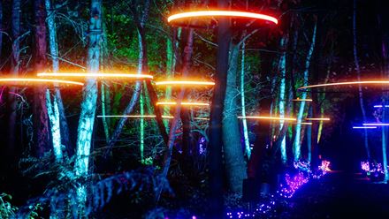 Explore immersive woodland scenes where contemporary light installations transform the forest after dark at Windsor Illuminated. © Giles Smith/MARI