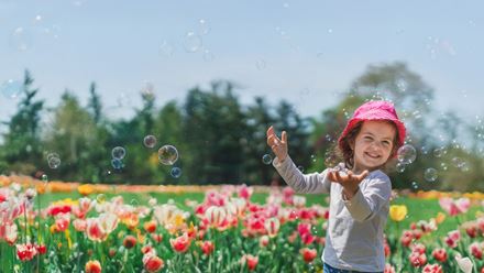 Rendez-vous au premier festival des tulipes de Londres à Hobbledown, où plus de 400 000 tulipes célèbrent l'arrivée du printemps dans l'ouest de Londres.  Avec l'aimable autorisation de Hobbledown/ Escapade Group.