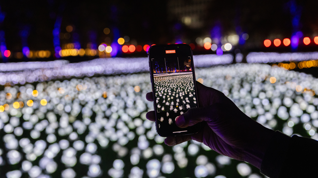 Une personne prend une photo avec un téléphone portable des jardins illuminés Ever After à Grosvenor Square.