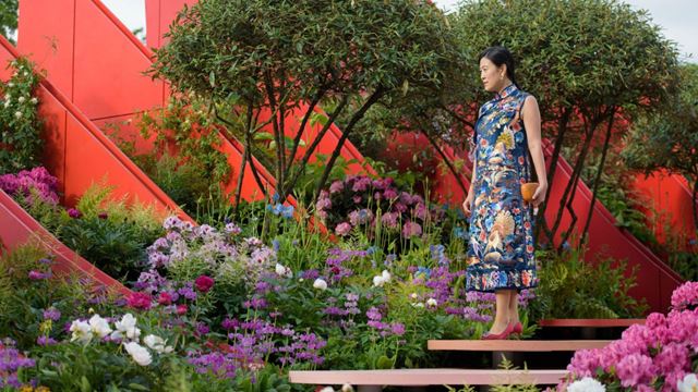 An invited guest steps onto The Silk Road Garden at RHS Chelsea Flower Show 2017.
