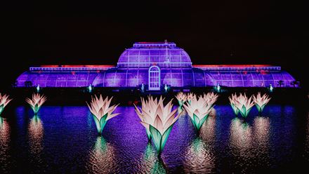 Capture Palm House looking extra magical this year with floating lotus lights reflecting in the water. © RBG Kew