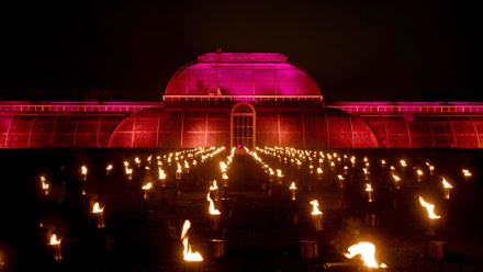 A whole pathway of flickering flames leading up to the Palm House. © RBG Kew