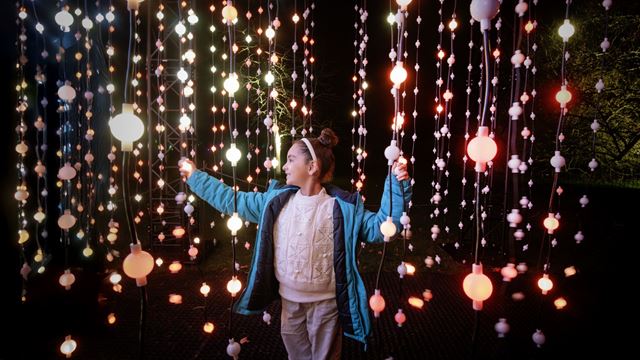 A person wanders through string likes resembling a sea of stars in the dark.