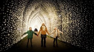 A family wearing coats and scarves hold hands as they stand under a bright yellow cathedral of lights at Christmas at Kew.