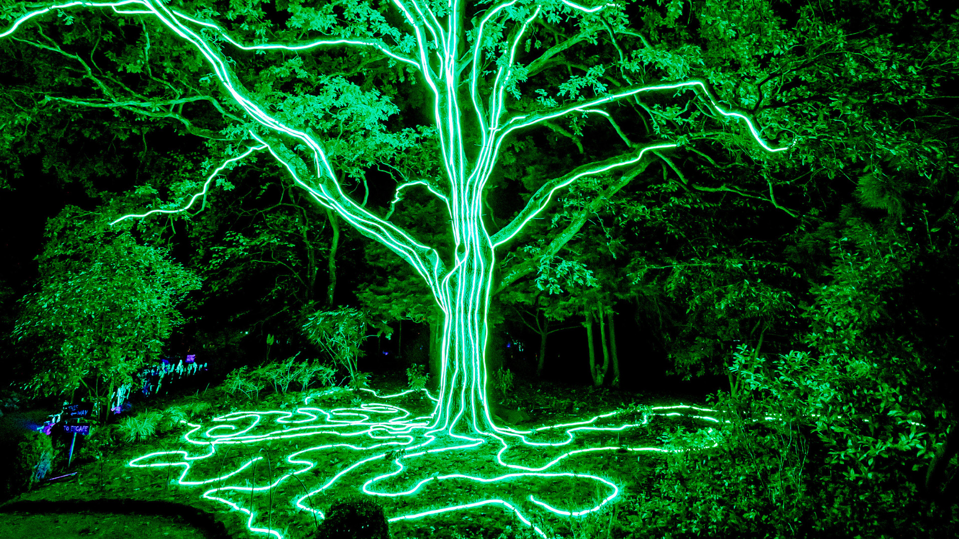 A large tree lit up with a vivid and glowing green light. 