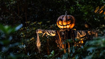 Discover a hauntingly beautiful side of Kew this Halloween, as the gardens are transformed after dark with atmospheric lighting, eerie installations and spooky encounters. Image courtesy of HRP. Photo credit: Ollie Dixon.