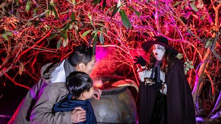 Step into a world of spellbinding Halloween magic at Kew, with mysterious characters, dazzling illuminations and plenty of unexpected surprises along the way. Image courtesy of HRP. Photo credit: Ollie Dixon.