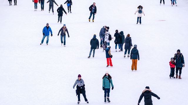 Ice skaters on a rink.