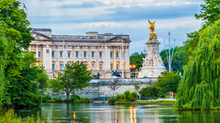 Le palais de Buckingham se tient à l'arrière-plan, tandis que la statue en l'honneur de la reine Victoria se trouve devant, offrant une vue sur la verdure et la rivière.