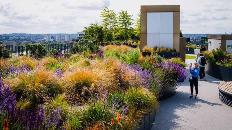 A woman takes a photo of a colourful border with grasses and flowers at Battersea Roof Gardens, 