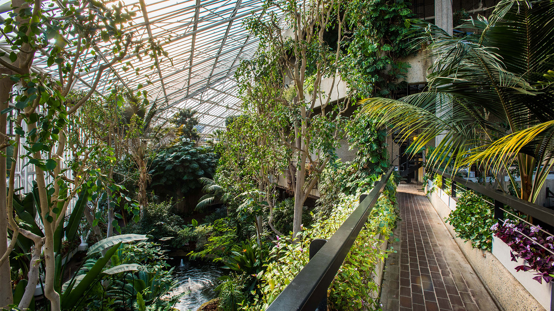 Immerse yourself in a tranquil green oasis at the Barbican Conservatory, a hidden gem in the heart of London. Image courtesy of The Barbican/Photo credit: Max Colson. Palm trees and various exotic plants inside the Barbican Conservatory.