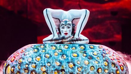 Be amazed by the contortionist spider during Cirque du Soleil's OVO show at the Royal Albert Hall. Photo: Marie-Andrée Lemire. Image courtesy of Cirque du Soleil.