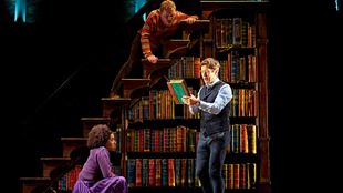 Harry Potter et ses deux acolytes Ron et Hermione se tiennent près d'une étagère de livres et cherchent à résoudre un mystère.