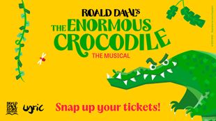 Poster showing a bright green crocodile with angry eyes on a yellow background, advertising the children's theatre show The Enormous Crocodile.